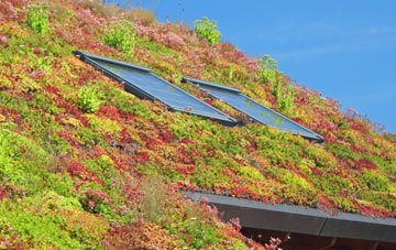 Bournbrook living roof systems